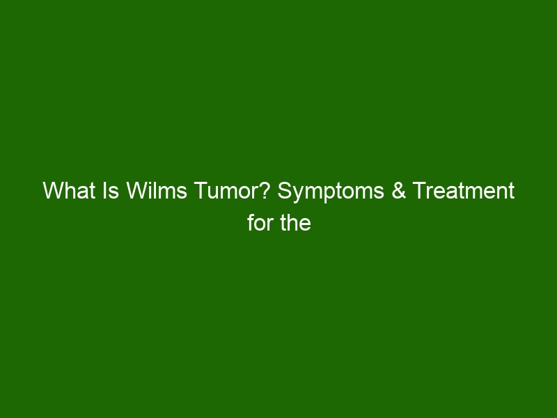 What Is Wilms Tumor? Symptoms & Treatment for the Rare Kidney Cancer ...