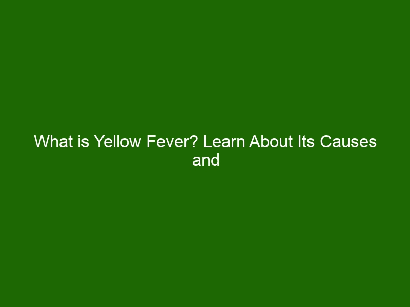 What is Yellow Fever? Learn About Its Causes and Symptoms - Health And ...