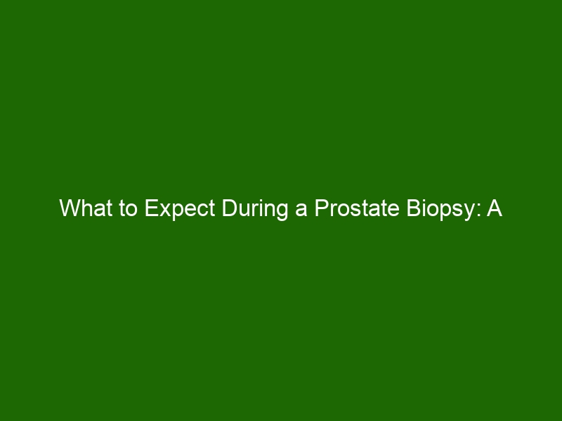 What To Expect During A Prostate Biopsy A Complete Guide Health And Beauty 9805