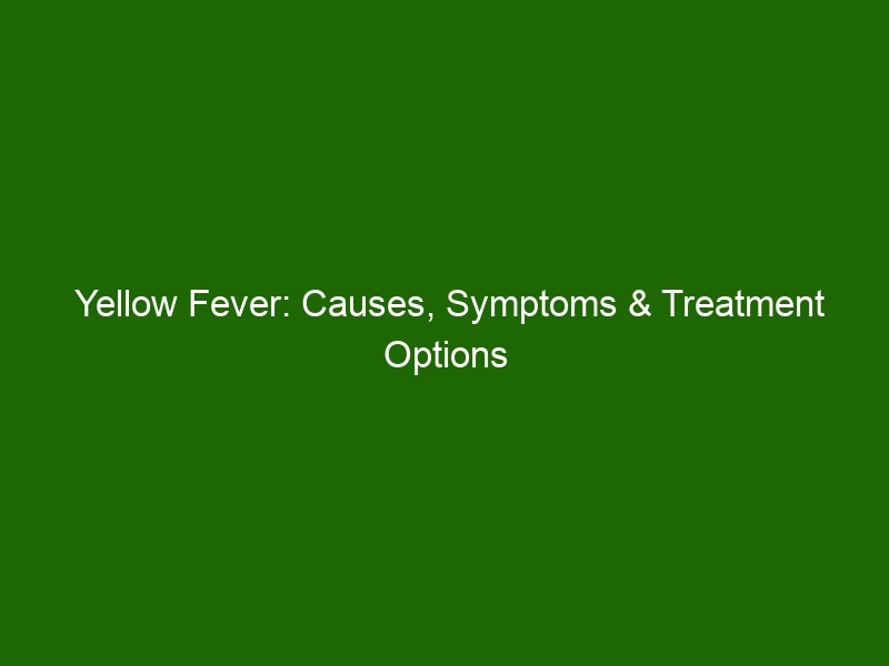 Yellow Fever: Causes, Symptoms & Treatment Options - Health And Beauty