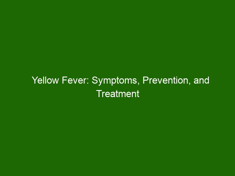 Yellow Fever: Symptoms, Prevention, and Treatment - Health And Beauty