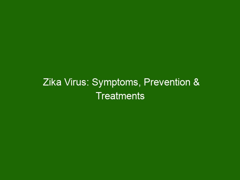 Zika Virus Symptoms Prevention And Treatments Explained Health And Beauty 6538